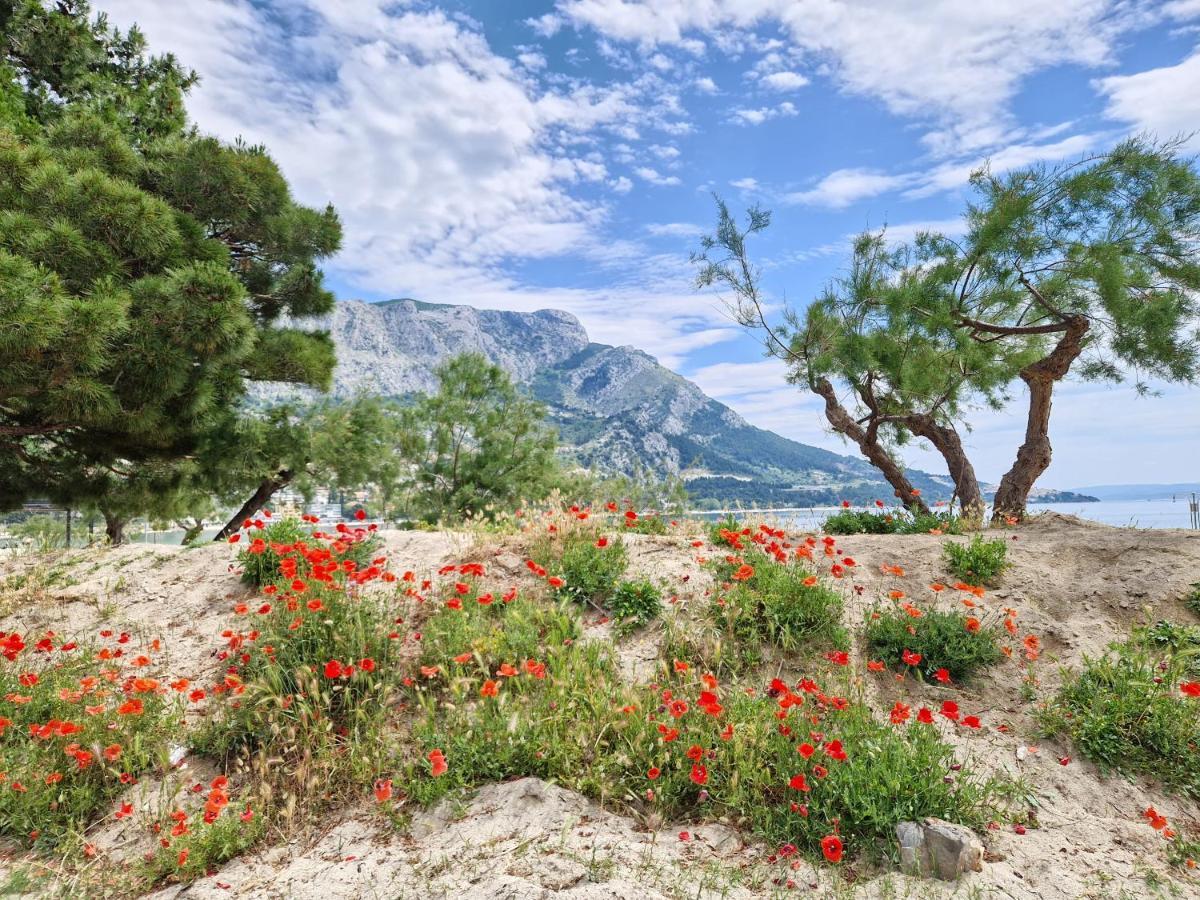 Apartman River Breeze Omiš Eksteriør billede